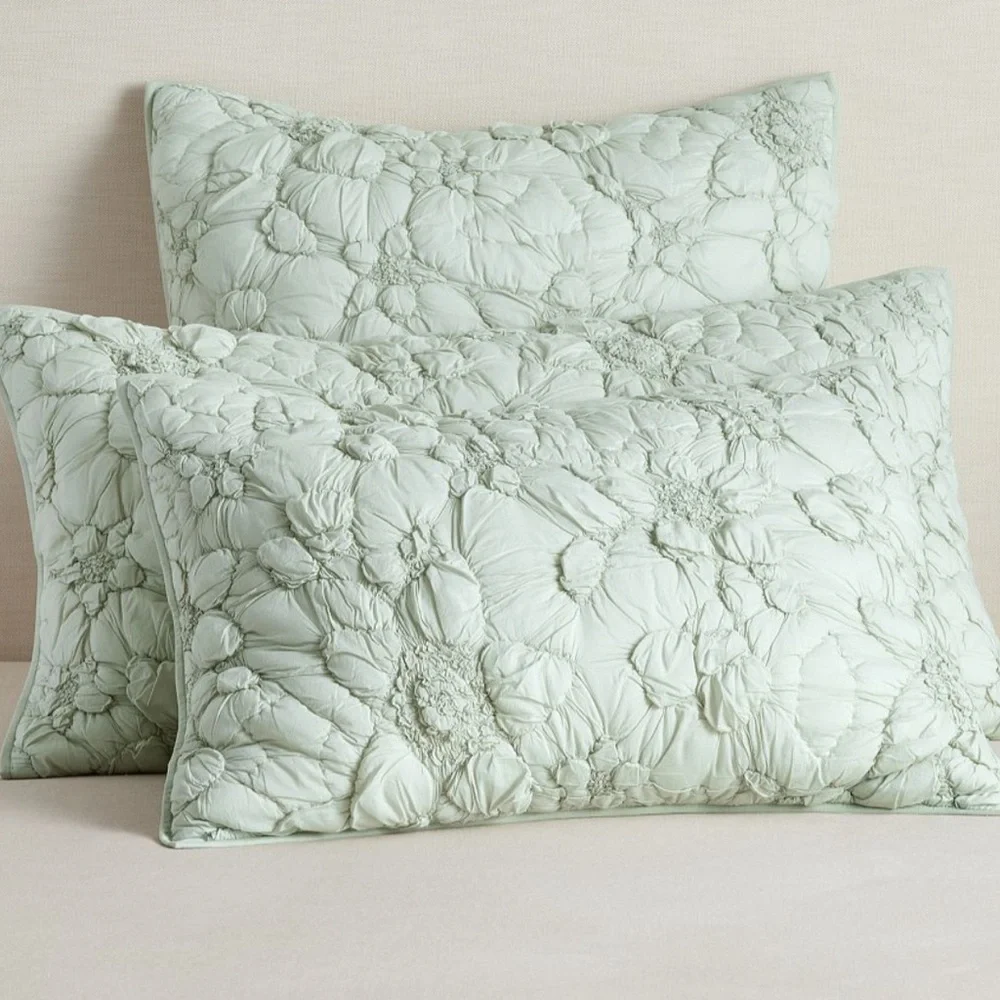 Pottery Barn Monique Lhuillier Marguerite Quilted Shams Set Standard Size NEW